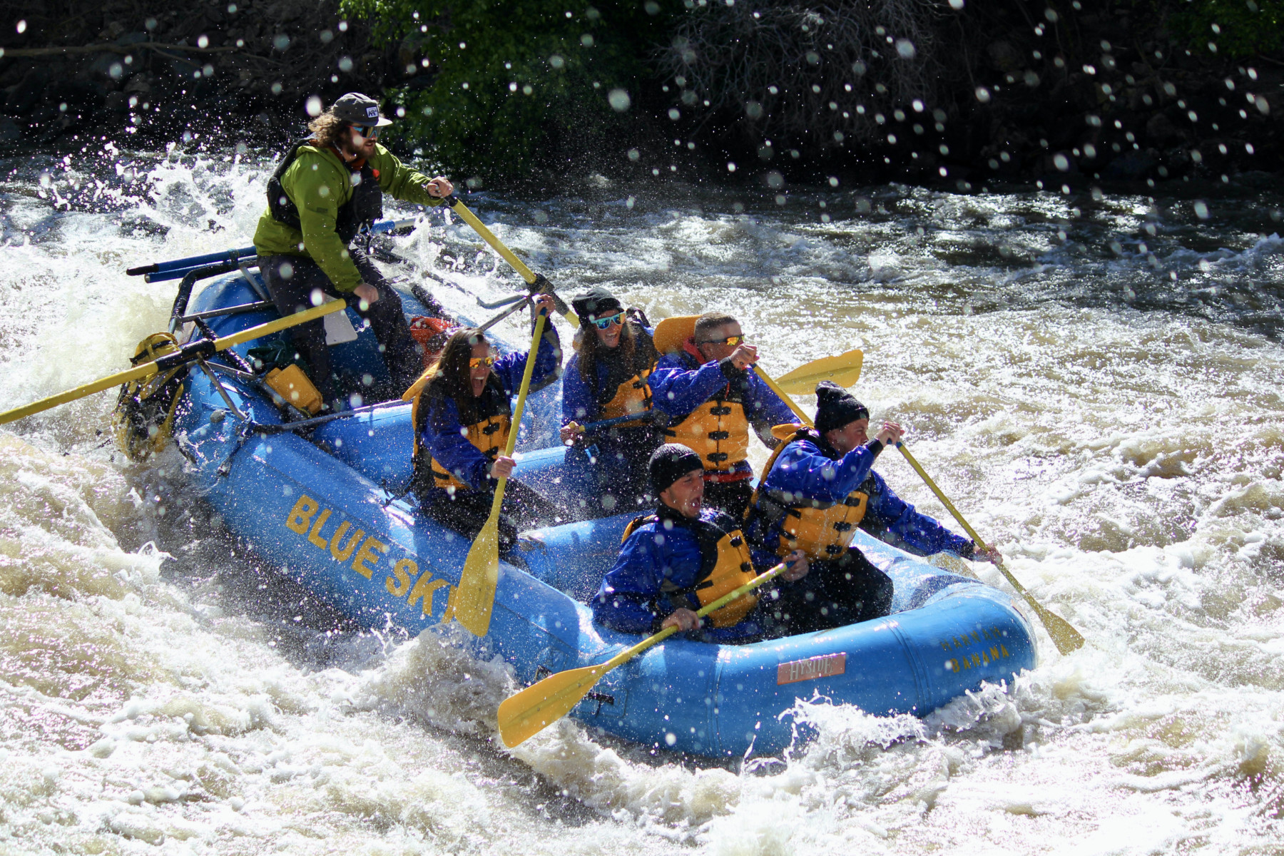 An image capturing the adventure of a Blue Sky-branded raft navigating the Shoshone Rapids on the Colorado River.
